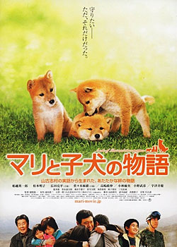 ��Ȯ���漣