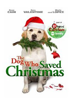 �����ʥ����