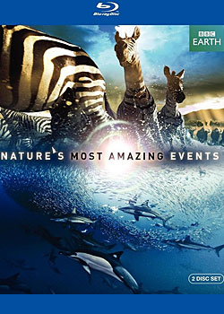 ��Ȼ����¼�