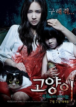 è������������˫��