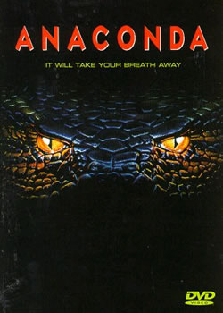 狂蟒之灾全集在线观看 狂蟒之灾迅雷高清下载 电影 破晓电影